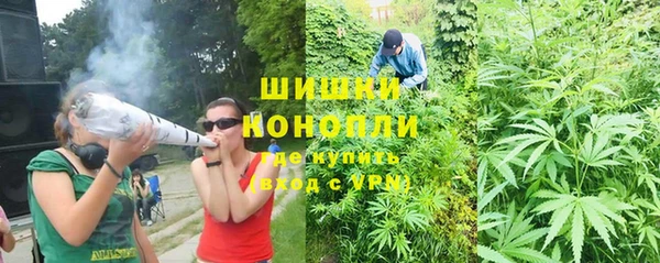 ГАЛЛЮЦИНОГЕННЫЕ ГРИБЫ Михайловка